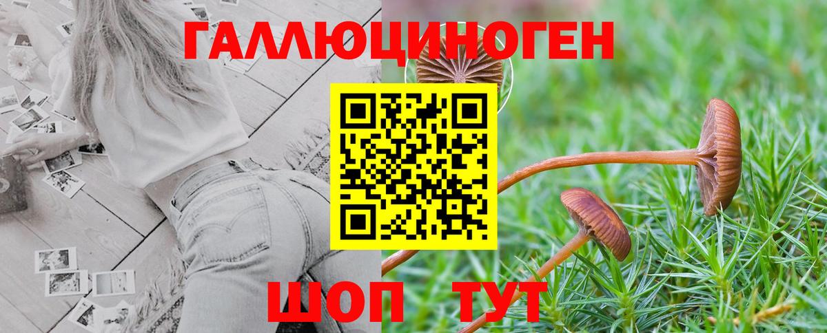 Верхний Уфалей  купить наркотик  Вход с VPN  Галлюциногенные грибы мухоморы 